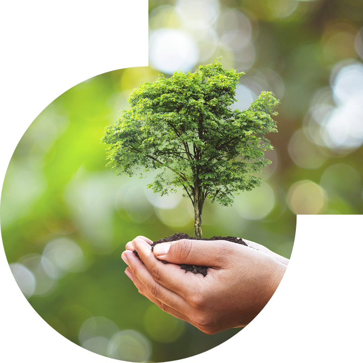 关怀人类、文化、环境与社会